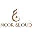 Noor Al Oud