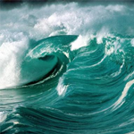 Sea