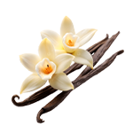 Vanilla