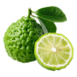Bergamot