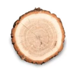 Cashmere Wood