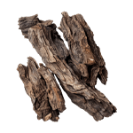 Oud
