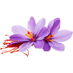Saffron